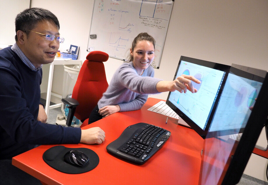 Yanjun Li and Hanne-Sofie Søreide examine Atom Probe Tomography images of the aluminium alloys they have created.