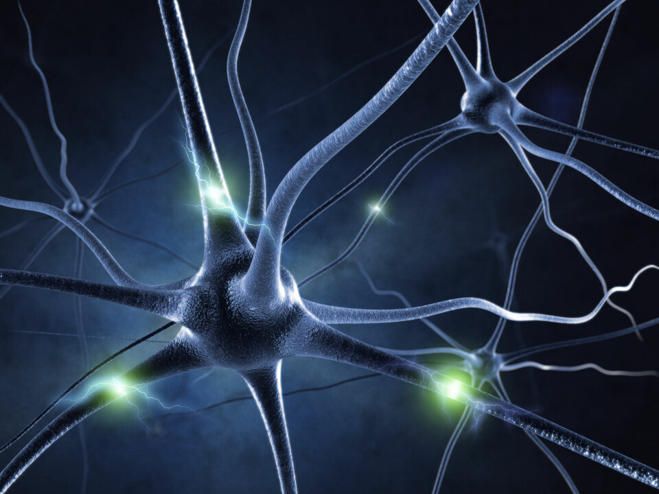 Nerve cells work by creating an electrical wave that travels down the length of the cell and is then transmitted to the neighbouring cell. But in an epileptic seizure, some nerve cells fire electrical signals repeatedly, without any aim or meaning.