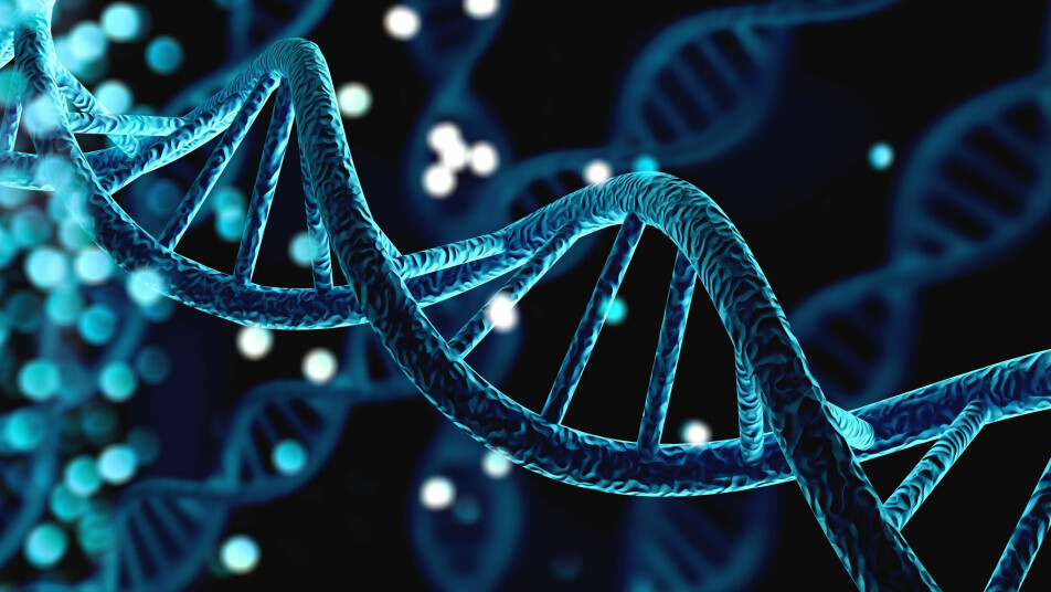 The genes in our DNA determine what characteristics we have. But in addition, epigenetics regulate gene expression, or how the genes are used. Unlike genes, these modifications can change during our lifetime.
