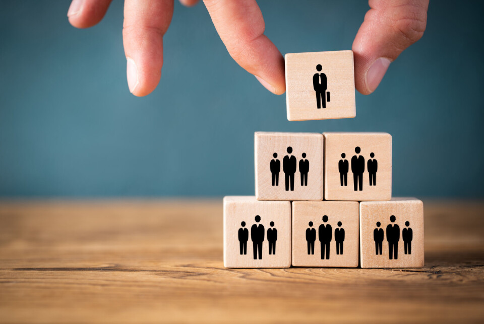 Without formal management, the organisation will become less dependent on individuals. Employees will get more involved in their job if they take part in the decisions.