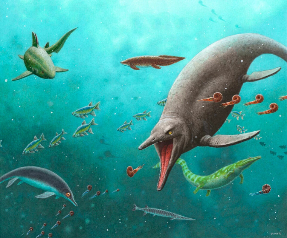 Reconstruction of the ichthyosaur and the 250 million year old ecosystem found on Svalbard.