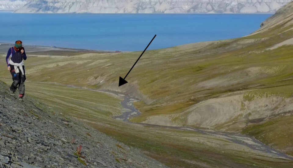 Researchers in the field at Vindodden in Svalbard. The arrow shows where Hurum and his colleagues found the 250 million year old ichthyosaur bones.