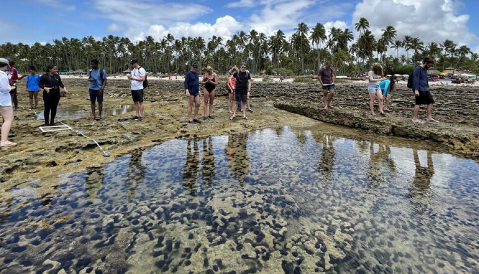 Young climate researchers inspected ecosystems in coral reeves and mangroves during a summer school in Tamandaré, Brazil in October 2022.