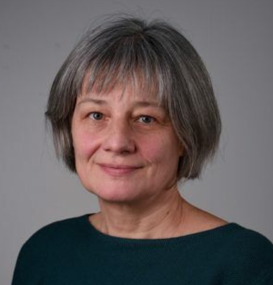 Elisabeth Stur, a researcher and project manager at the NTNU University Museum.