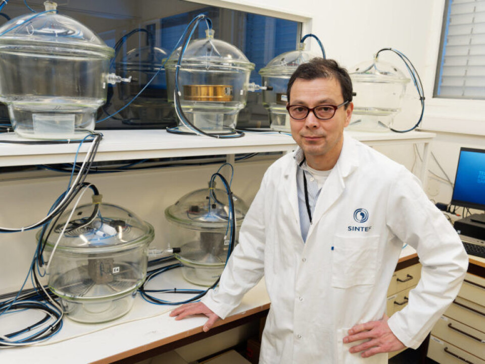 SINTEF researcher Christian John Engelsen conducts research into concrete, both in his laboratory in Oslo and in connection with newly laid floors in Mumbai in India.