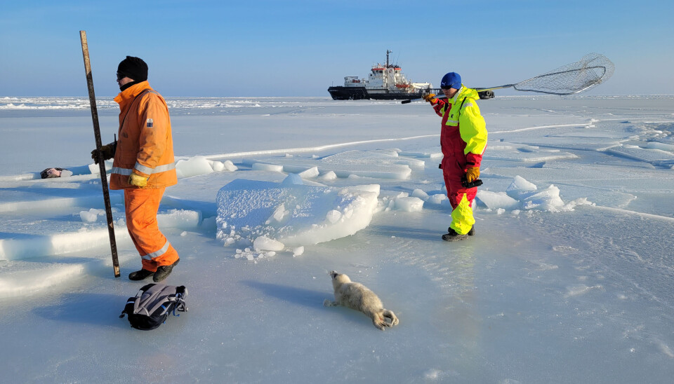 A lot of data was obtained during the expedition in February 2023.