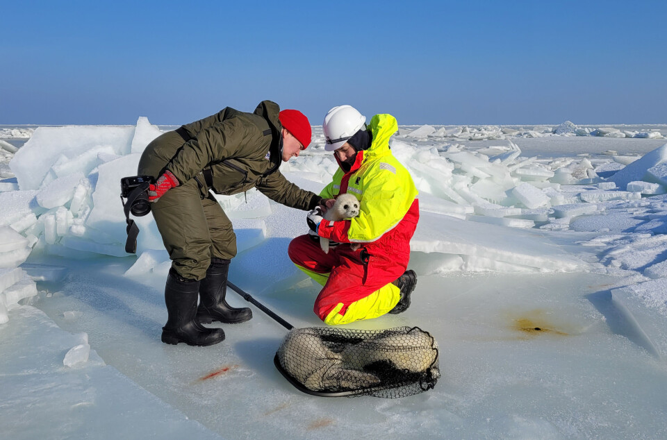 A number of different tests were taken for further analyses, and sick animals the team came across were provided with vital veterinary assistance.