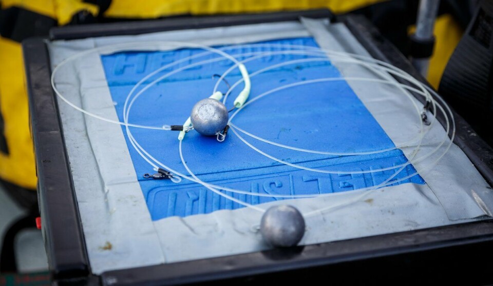 The ‘flying eye’ is one of the names given to the rig used for catching hake. Here it was used for research, targeting spiny dogfish, but with smaller hooks.