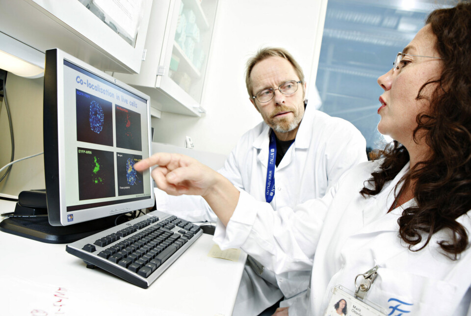 The cancer medicine developed by Otterlei and her colleagues will now be tested in the USA on patients with sarcoma, a type of connective tissue cancer. In Australia, the medicine will be tested on ovarian cancer. Both clinical trials are in combination with chemotherapy.