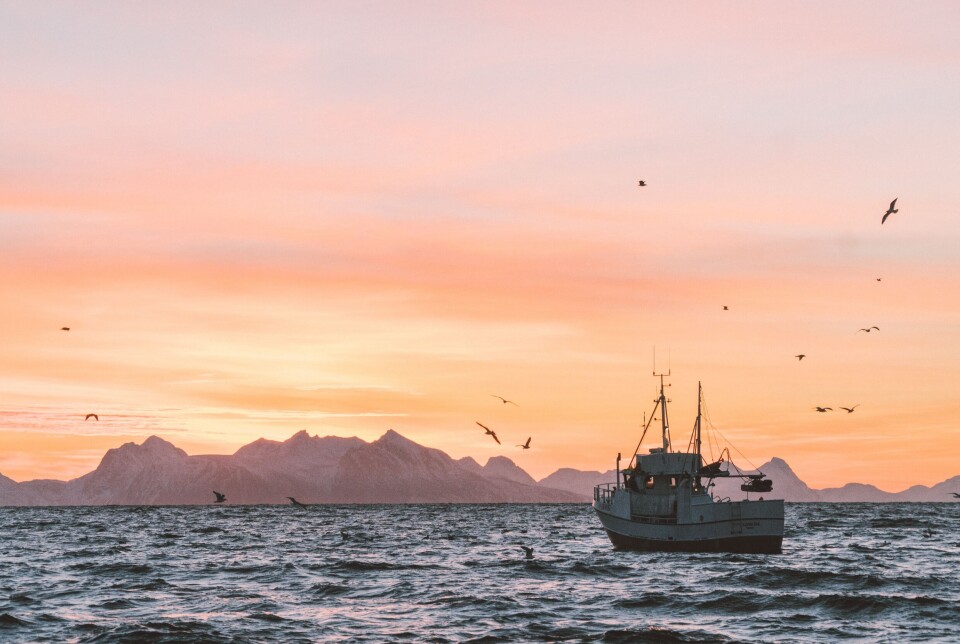 Fish farming is often exposed to strong currents and high waves. This affects the logistics of the boats that need to access and leave the facilities.