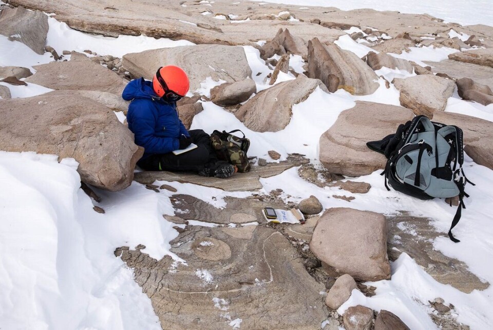 Doctoral student Jenny Newall takes notes high up in the Heimefrontfjella. Here they had collected a loose rock, but it turned out to have been brought there by the ice. It was so cold and windy that they kept their helmets on to keep warm.