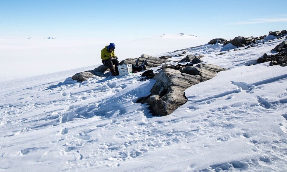 Professor Ola Fredin takes notes after collecting a rock sample.