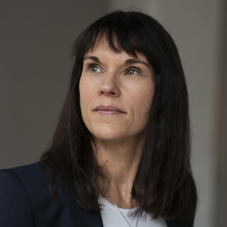 Ingeborg Stana is a professor of visual arts at OsloMet.