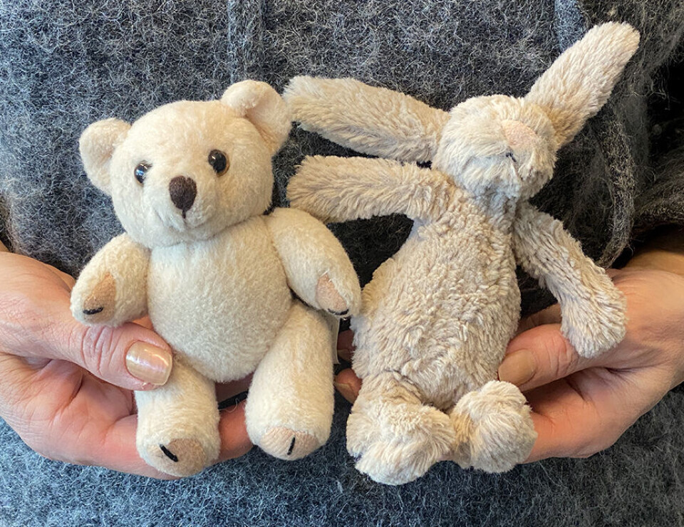 These critters are part of the language testing.