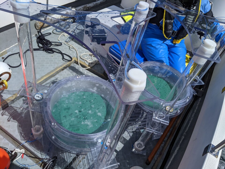 In the field: Chambers ready for testing.