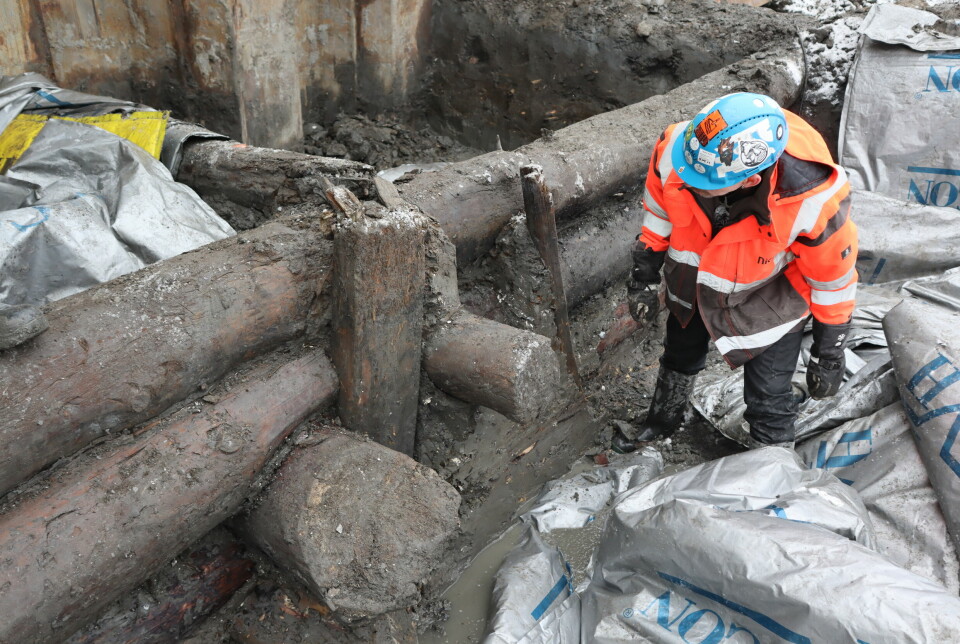 These logs are larger than they have ever found before, according to project manager and archaeologist Håvard Hegdal.