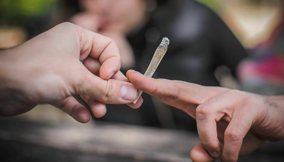 For minor drug offenses, there has been partial decriminalisation, as determined by the Supreme Court of Norway. But what do people really think about this? Researchers were eager to find out.
