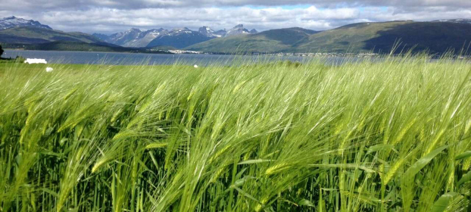 Climate change may make it easier to produce food in Arctic regions