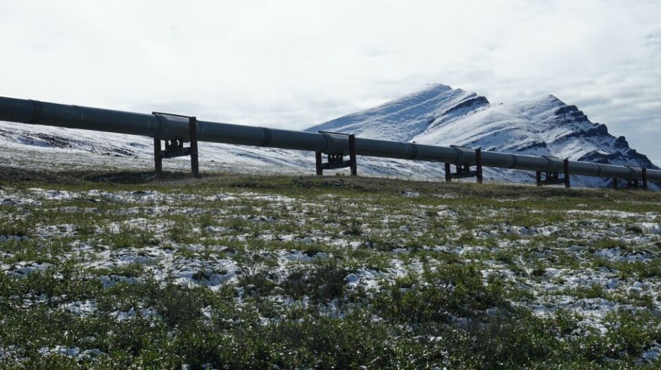 An example of infrastructure that is founded on soil with permafrost. A pipeline system for transporting oil through the Alaskan wilderness.