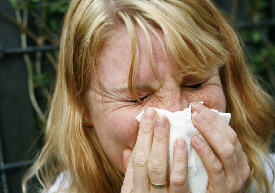 Why are some people allergic to pollen, and what helps?