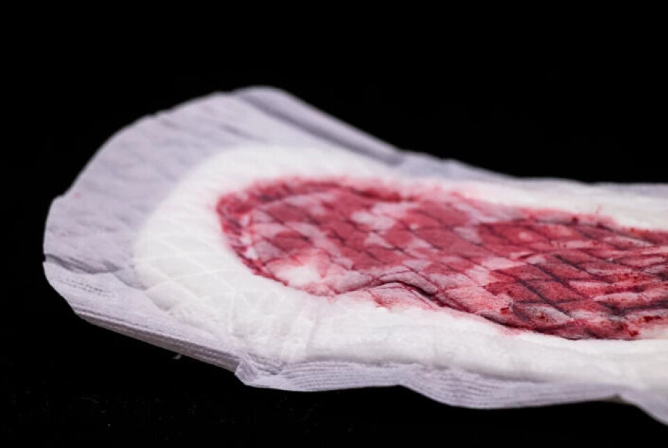 Companies attracted customers by showing how women should exercise, eat, and look their best during their menstrual cycle. Blood did not fit the image.