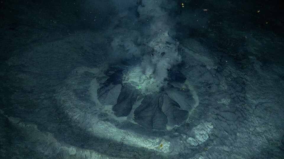 The mud volcano Borealis was discovered last year and is one of the environments from which researchers have taken samples.