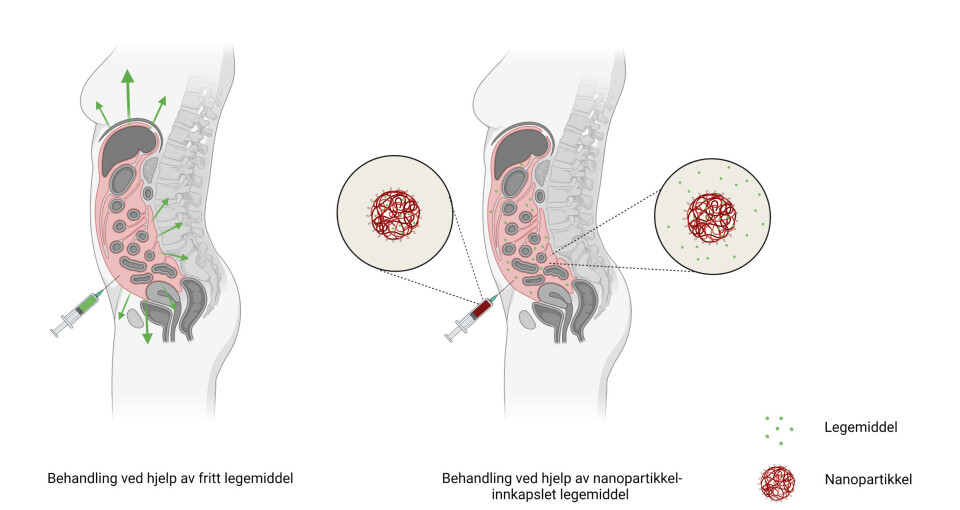Nanoencapsulation increases the time that the drug (green) is in the peritoneal cavity (pink), compared to when the drug is injected freely.