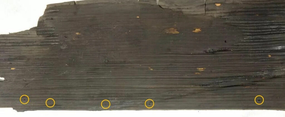 The yellow circles show the holes (or perforations), which were probably used to fasten rawhide or make repairs.