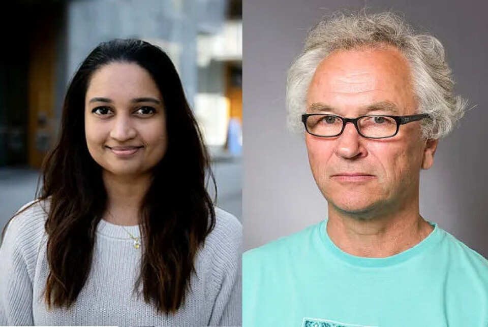 From left: researcher Thilini Gamage and Professor Eirik Frengen.
