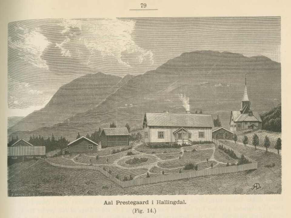 The research stations gave Schübeler the opportunity to gather knowledge about where different plants thrived in different places in Norway. The information is collected in his main work Viridarium norvegicum: Norges væxtrige.