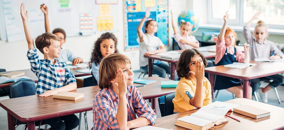 Some teachers grade pupils’ schoolwork in 7th grade, in the belief that this will make the transition to lower secondary school easier. It's probably not a good idea. A classroom full of kids, in which almost all have a hand in the air.