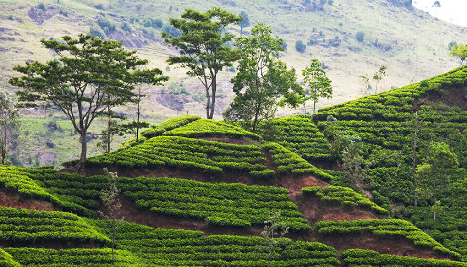 Farming is one of the leading drivers of biodiversity loss, and the reason why governments, industry, and farmers are working to promote sustainable agriculture.