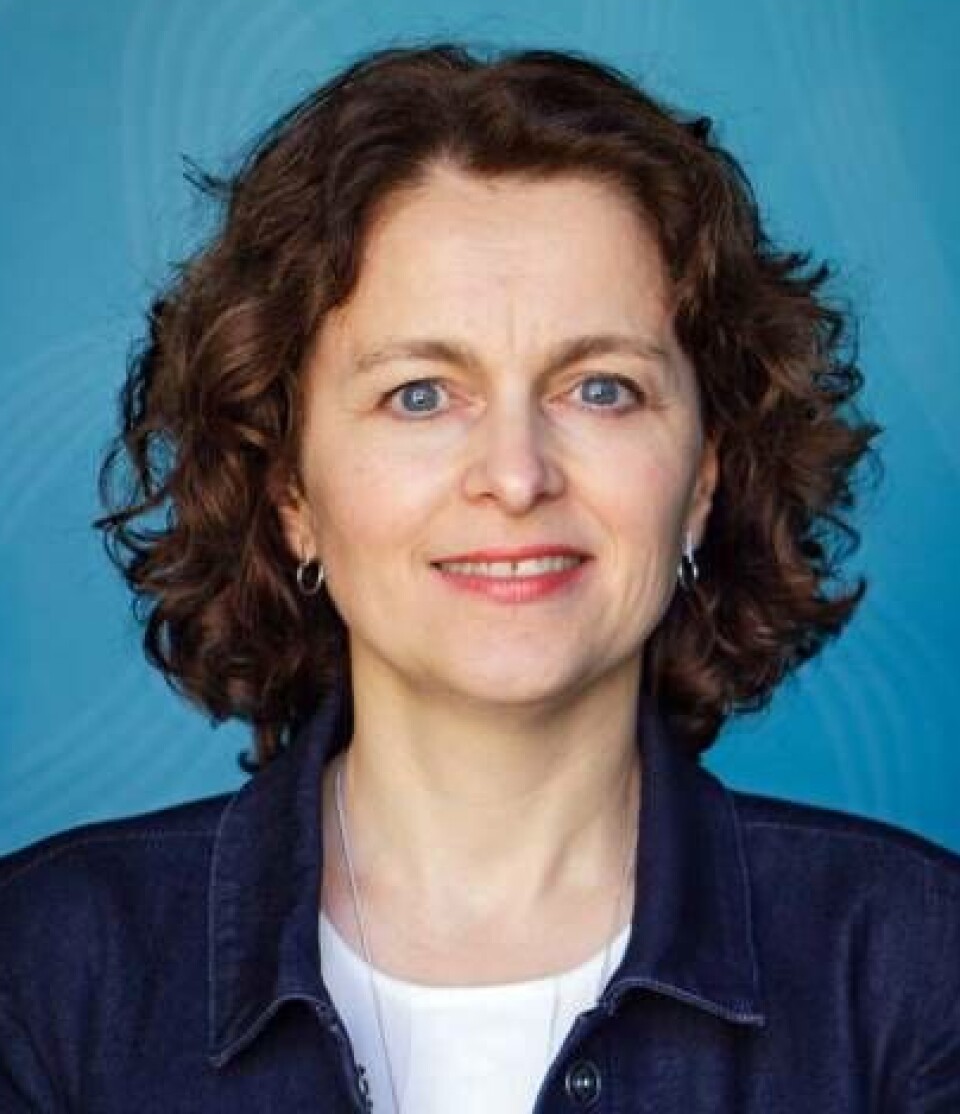 Torunn L. Tryggestad, Director of the PRIO Centre on Gender, Peace and Security.
