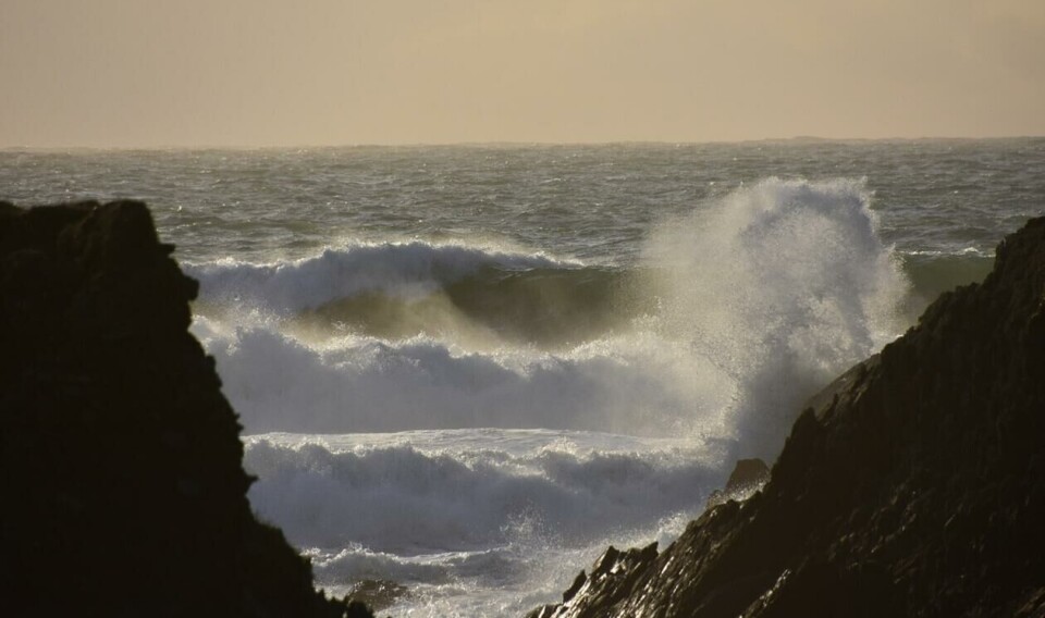 COMFORT has investigated at which point the progressing levels of CO2 emissions, warming, and acidification cross tipping points for oceanic environmental conditions.