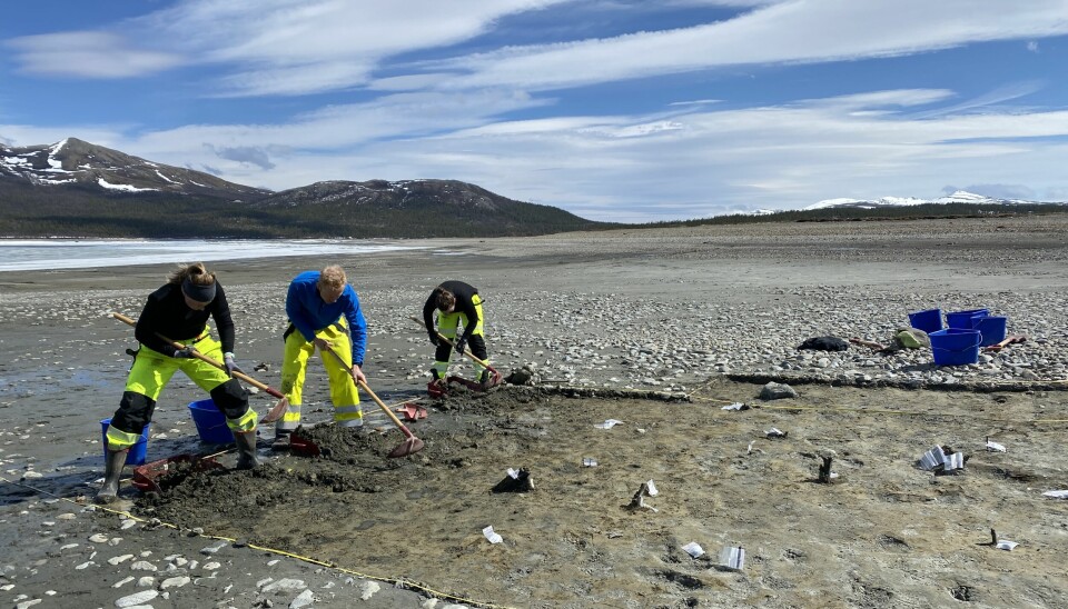 7,000-year old fish traps excavated in Norwegian mountain lake – a race  against time as the water is coming in