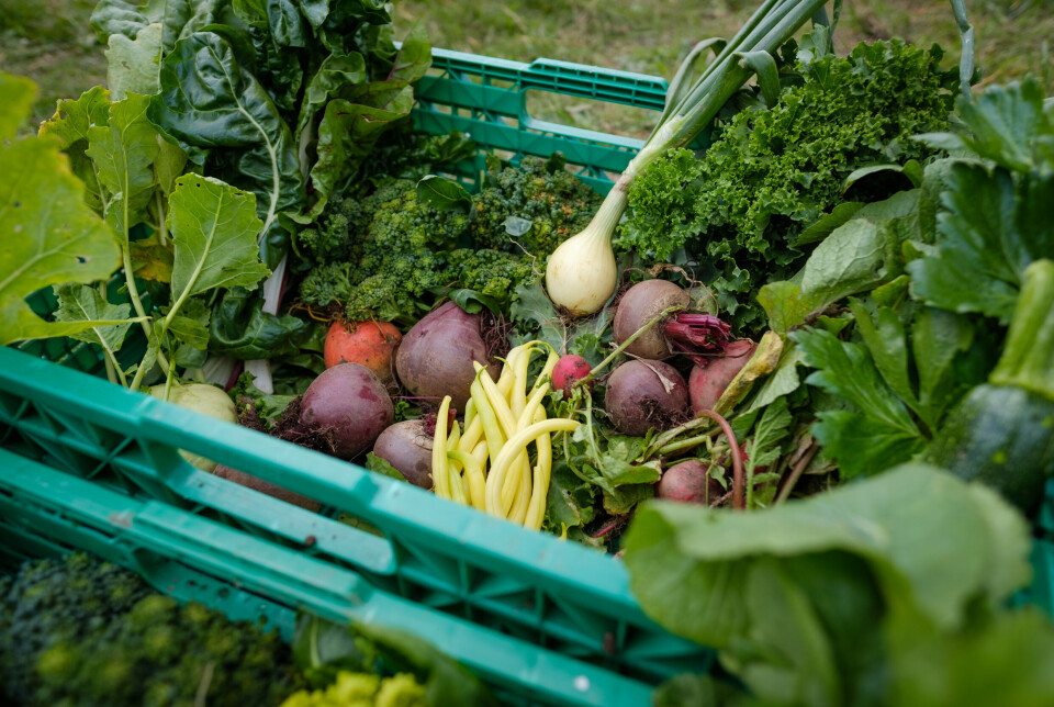 Only a small portion of Norwegians meets the recommended vegetable consumption guidelines set by health authorities.