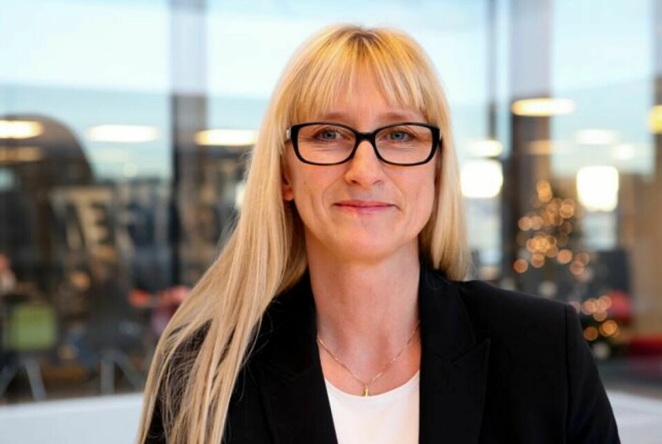 Alfhild Stokke is the department director at the Norwegian Directorate of e-health.