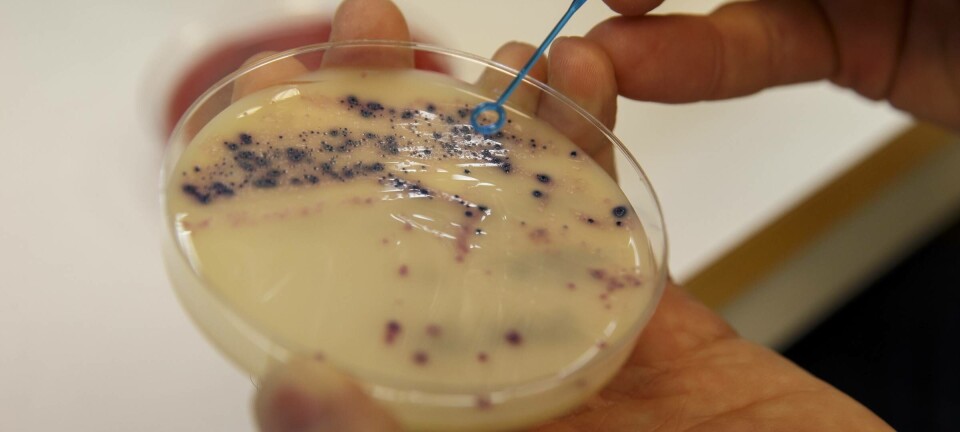 The strange and deadly consequences of bacterial sex