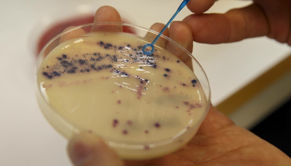Antimicrobial resistant bacteria (AMR) are a huge problem in today’s healthcare system. Over a million people die each year from AMR, more than from HIV or Malaria.