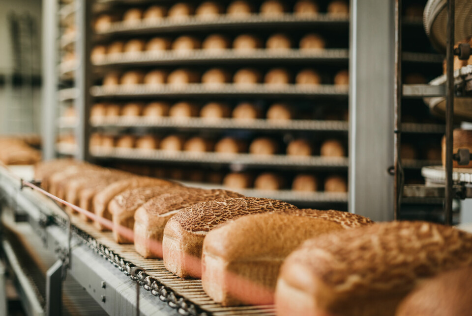 Researcher Simon Erling Nitter Dankel believes that store-bought bread is not as healthy as many people think it is, because it is mass-produced.