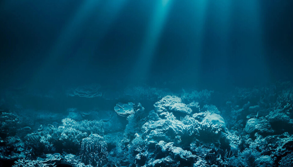 The Norwegian government has proposed opening a section of the continental shelf to deep sea mining.