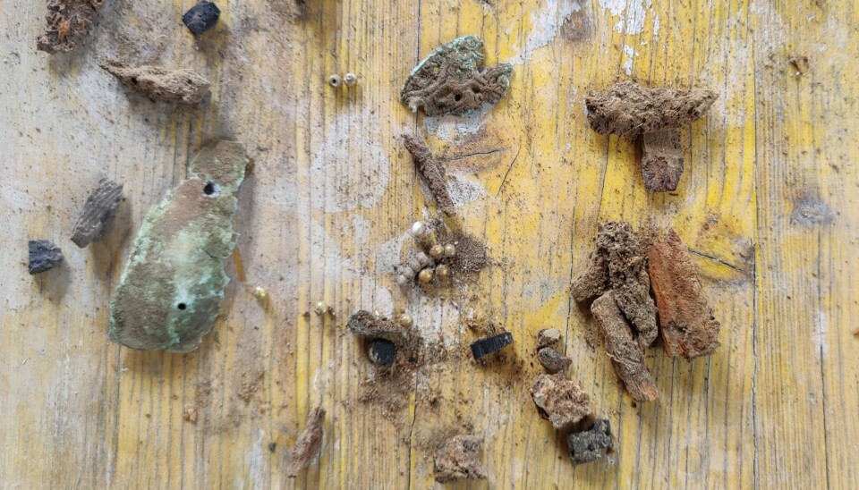 Glass beads gilded with gold as well as a gilded belt buckle were found in the grave. And a number of pieces of metal that may or may not be related to the find.