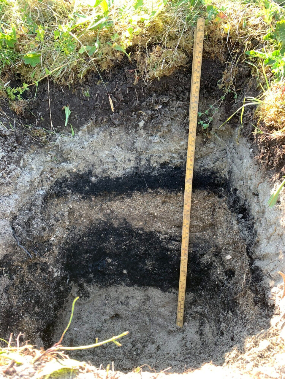 Archaeologists also found remnants of preserved wood, a layer containing charcoal, and a horse’s tooth.