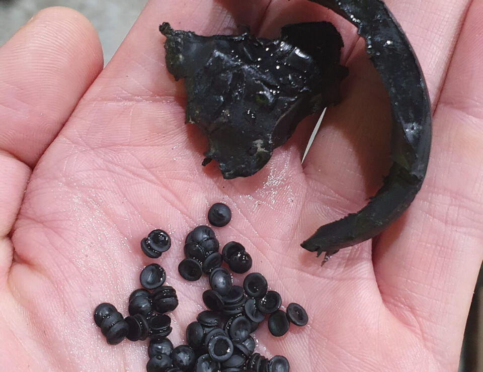 Plastic waste is being turned into plastic pellets, which can serve as the raw materials for new products.