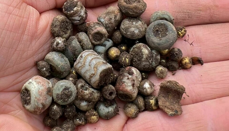 Around a hundred beads in different styles were unearthed. The archaeologists and conservators will be able to not only date these, they will also be able to tell where in the world they were made.