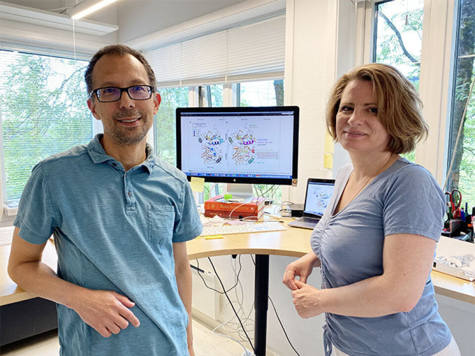 From left: Dario Segura-Peña, main author of the study, together with Nikolina Sekulic, head of the research group.