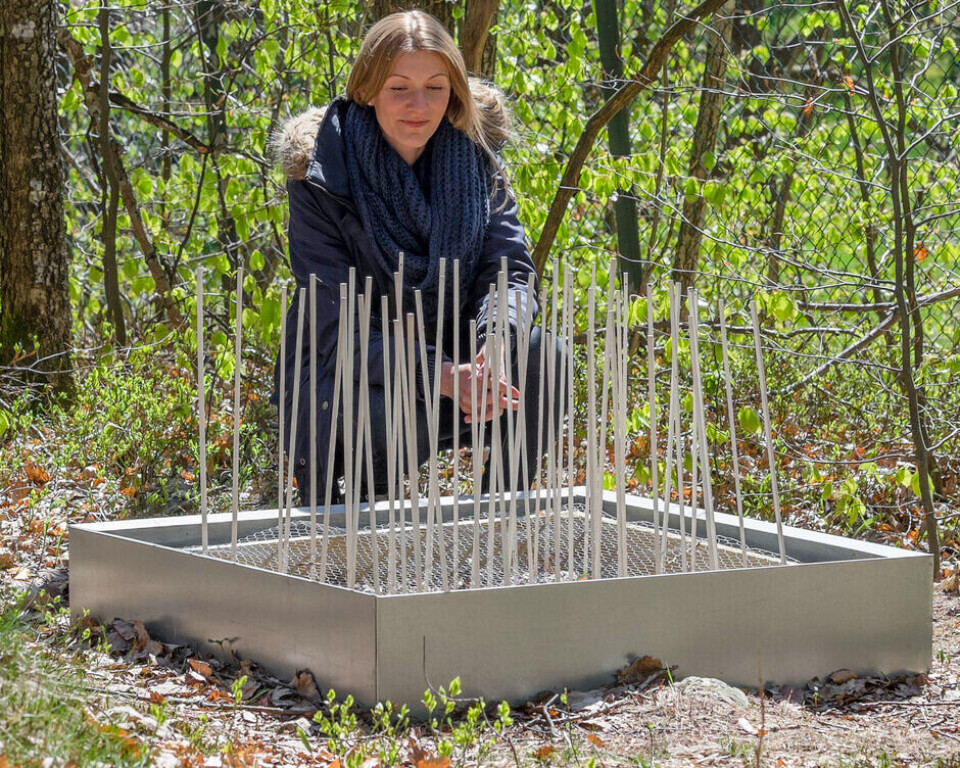 Vivian Kjelland in front of her own tick hotel where she studied tick activity throughout the year. Among other things, she found out that the tick can be active on snow in January. The hotel is one of 30 boxes of this type. Altogether there were 3,000 ticks in the boxes.
