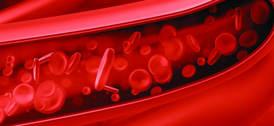 Despite complex and advanced regulatory mechanisms, in some individuals, blood pressure will permanently remain so high that it causes damage to blood vessels and organs.