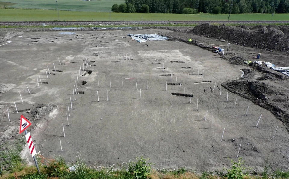 An overview picture of the extraordinary house. Poles have been placed in the post holes. This is, however, only a small part of the house according to the archaeologists.