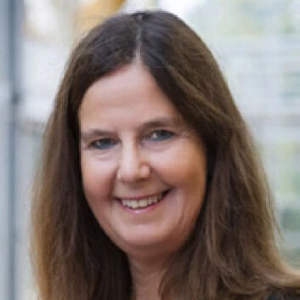 Anne Trine Kjørholt, a professor at NTNU who has led a study on the upbringing of three generations in coastal communities in five countries.